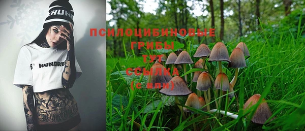 хмурый Алексеевка