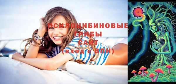 соль курить ск Алзамай