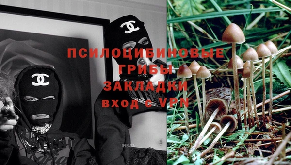 соль курить ск Алзамай