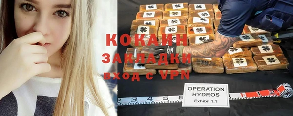 хмурый Алексеевка